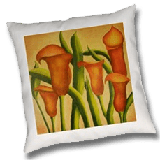 callas-on-pillow